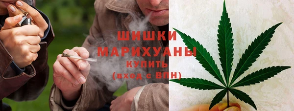 шишки Богданович