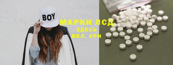 шишки Богданович